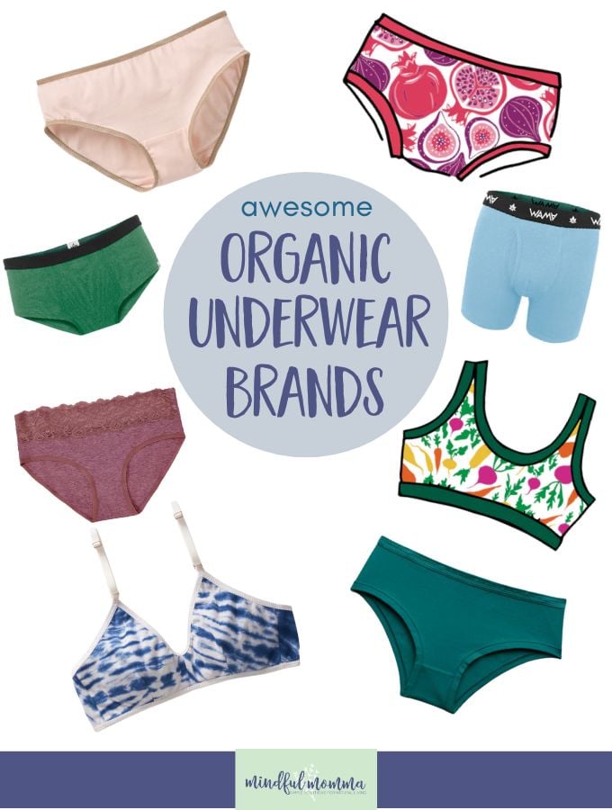 Organic Underwear Brands 2025 POST